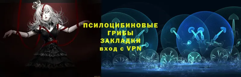 Галлюциногенные грибы прущие грибы  Находка 